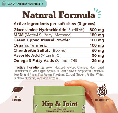 Liquid Glucosamine Hip & Joint Oil for Dogs, 16 oz, Extra Strength Cartilage & Joint Support, Helps Mobility and Eases Occasional Stiffness, Dog Vitamins & Supplements