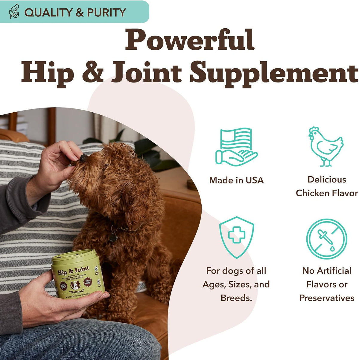 Liquid Glucosamine Hip & Joint Oil for Dogs, 16 oz, Extra Strength Cartilage & Joint Support, Helps Mobility and Eases Occasional Stiffness, Dog Vitamins & Supplements