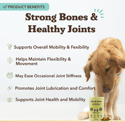 Liquid Glucosamine Hip & Joint Oil for Dogs, 16 oz, Extra Strength Cartilage & Joint Support, Helps Mobility and Eases Occasional Stiffness, Dog Vitamins & Supplements