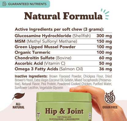 Liquid Glucosamine Hip & Joint Oil for Dogs, 16 oz, Extra Strength Cartilage & Joint Support, Helps Mobility and Eases Occasional Stiffness, Dog Vitamins & Supplements