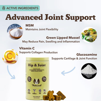 Liquid Glucosamine Hip & Joint Oil for Dogs, 16 oz, Extra Strength Cartilage & Joint Support, Helps Mobility and Eases Occasional Stiffness, Dog Vitamins & Supplements