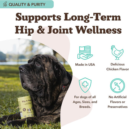 Liquid Glucosamine Hip & Joint Oil for Dogs, 16 oz, Extra Strength Cartilage & Joint Support, Helps Mobility and Eases Occasional Stiffness, Dog Vitamins & Supplements