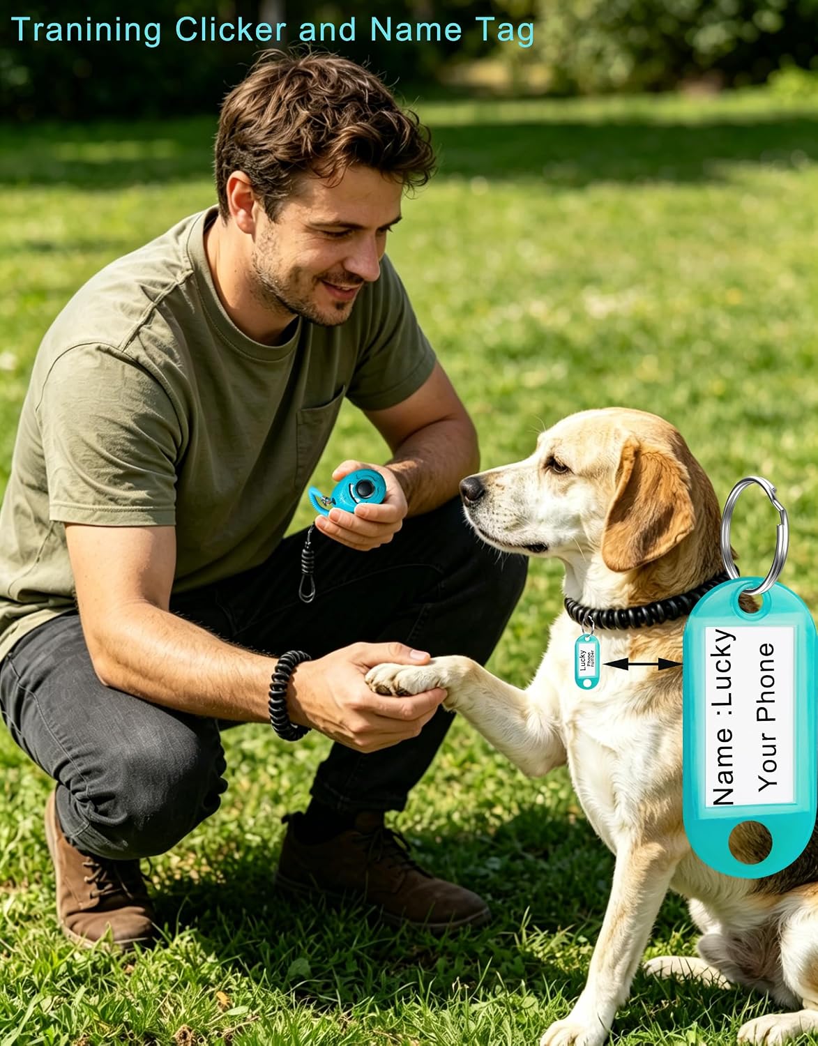 Dog Training Clicker with Sring Wrist and Keyring - Pet Dog Training Clickers for Puppy, Cat, Potty, Bird, Horse, Pet, Trainer Training Tools, Behavior Aids