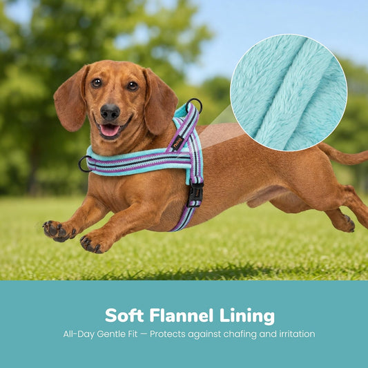 No Pull Dog Harness for Small Dogs, Soft Flannel Padded,Mixed-Blue,XS