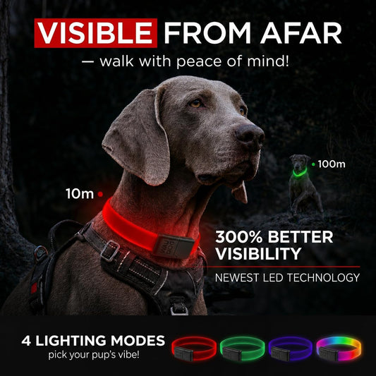 Light Up Dog Collar LED Rechargeable Waterproof Glow in the Dark