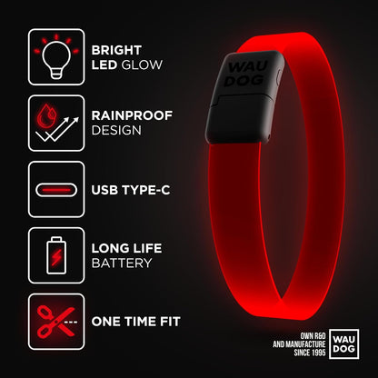 Light Up Dog Collar LED Rechargeable Waterproof Glow in the Dark