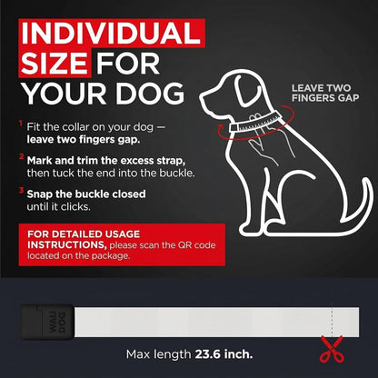 Light Up Dog Collar LED Rechargeable Waterproof Glow in the Dark