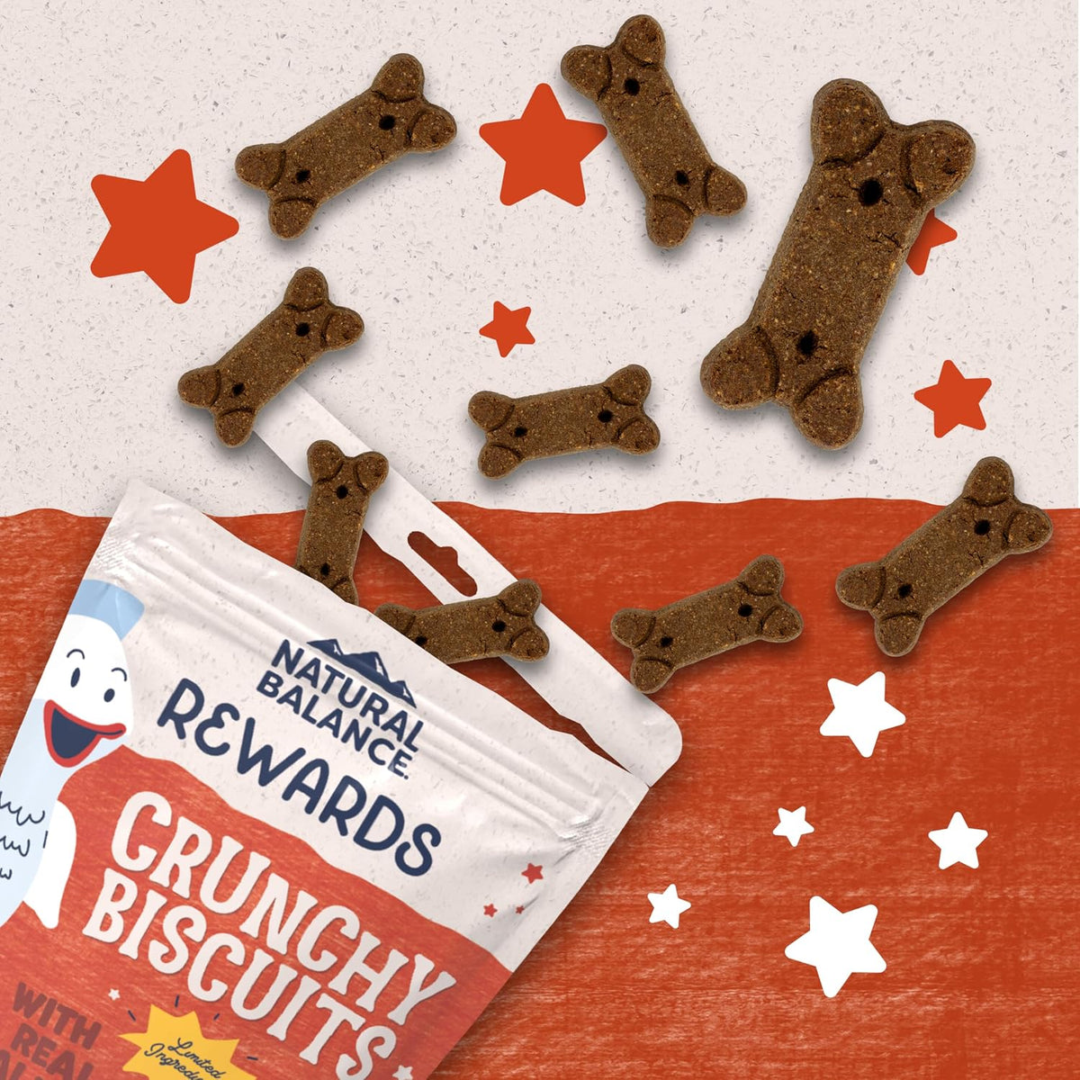 Rewards, Crunchy Biscuits, Salmon, 14 oz