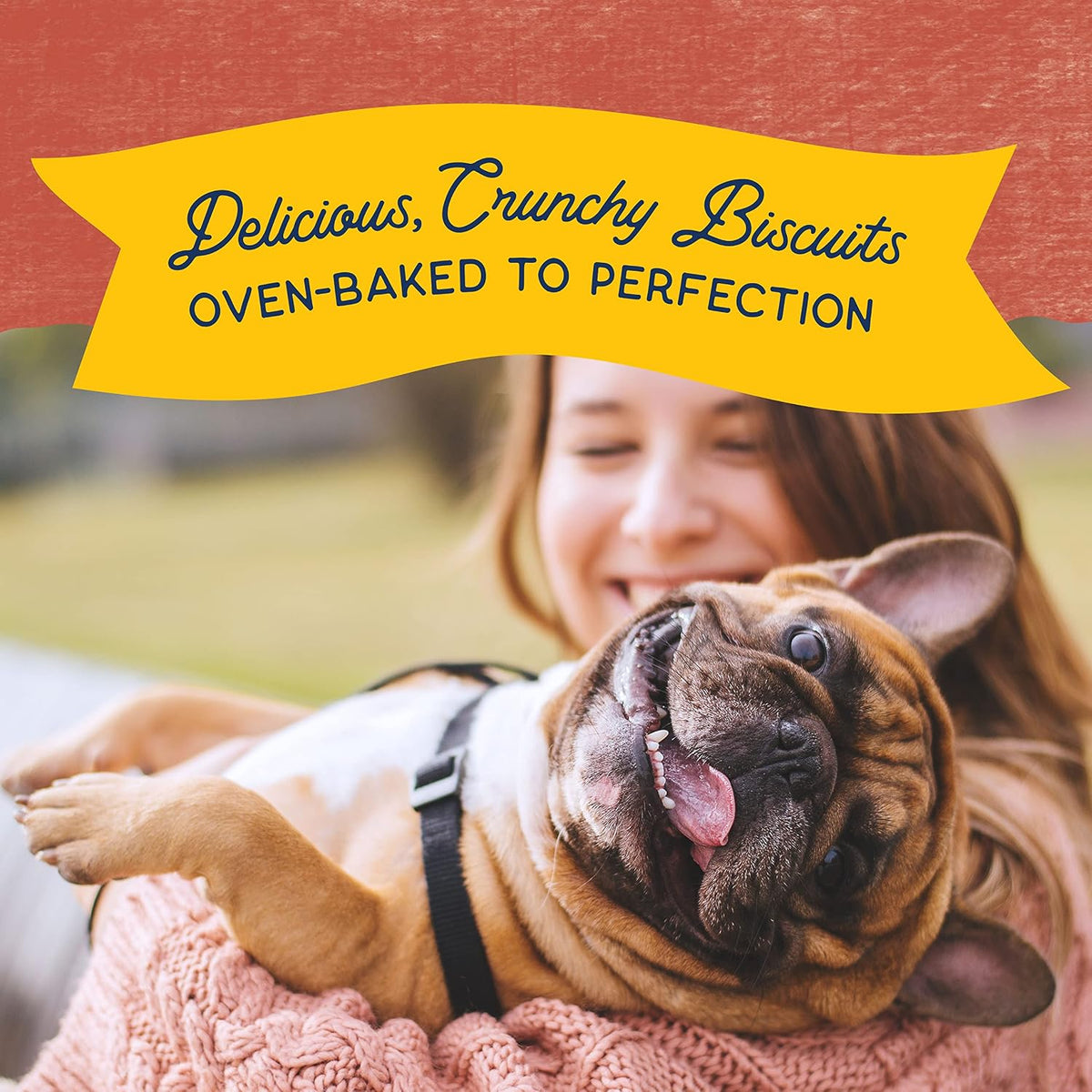 Rewards, Crunchy Biscuits, Salmon, 14 oz