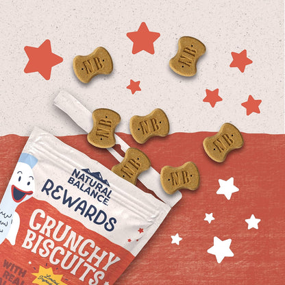Rewards, Crunchy Biscuits, Salmon, 14 oz