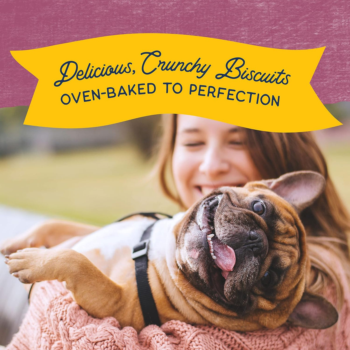 Rewards, Crunchy Biscuits, Salmon, 14 oz