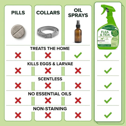 Flea and Tick Spray for Dogs & Home – Scentless Dog Flea Spray for Home, Carpets & Furniture – No Essential Oils – Kills Fleas, Ticks, Eggs & Larvae on Bedding & Direct on Fur (16oz)