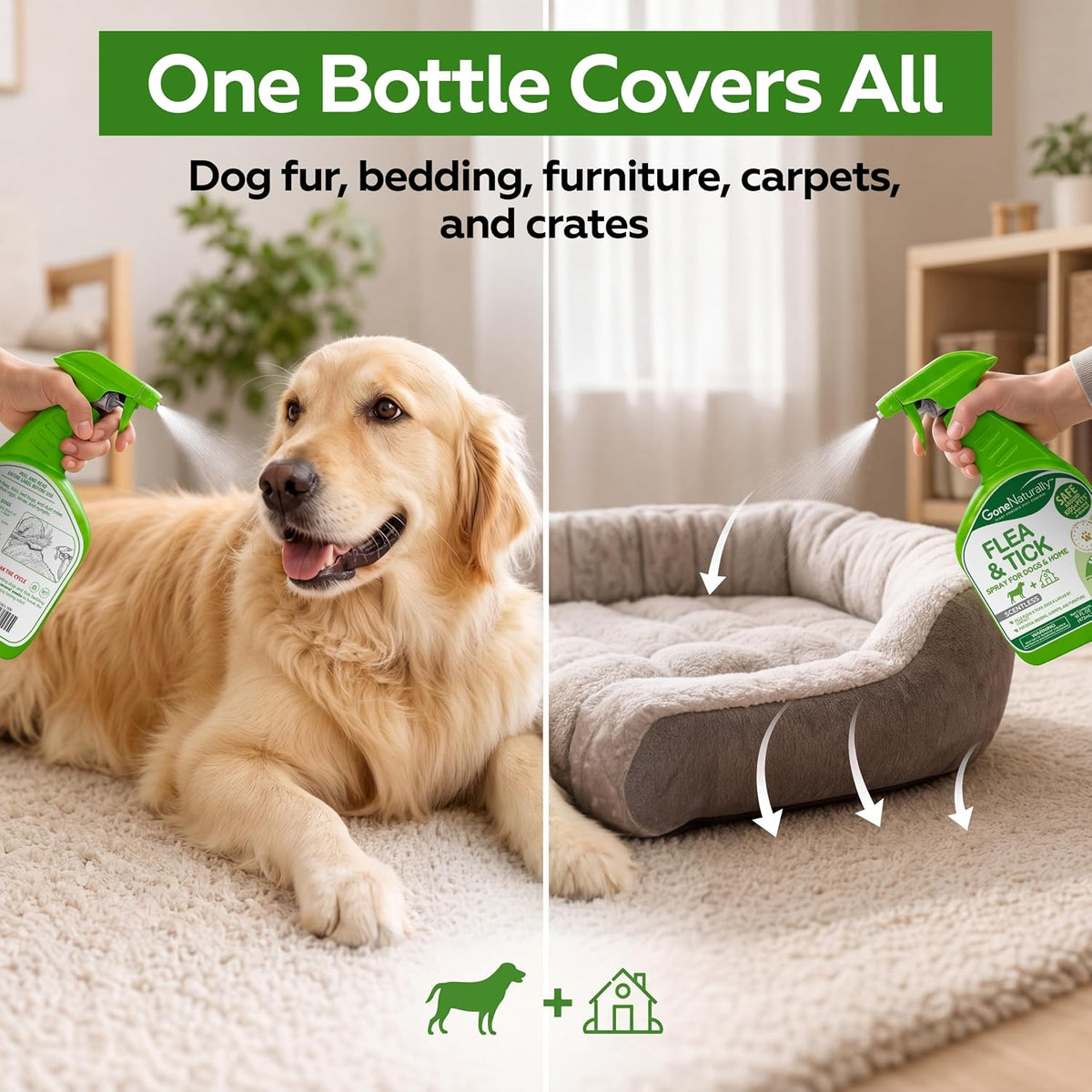 Flea and Tick Spray for Dogs & Home – Scentless Dog Flea Spray for Home, Carpets & Furniture – No Essential Oils – Kills Fleas, Ticks, Eggs & Larvae on Bedding & Direct on Fur (16oz)