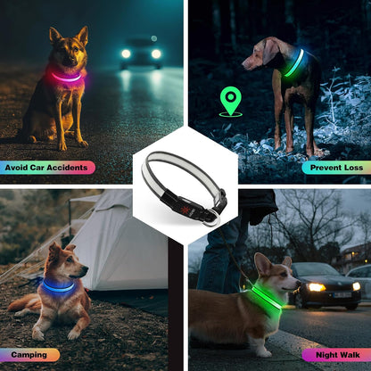 Light Up Dog Collar, Multicolor LED Dog Collar with 7 Lighting Modes - USB-C Rechargeable, Real-Time Battery Indicator, Waterproof & Adjustable Glow Collar for Safe Night Walks (L)