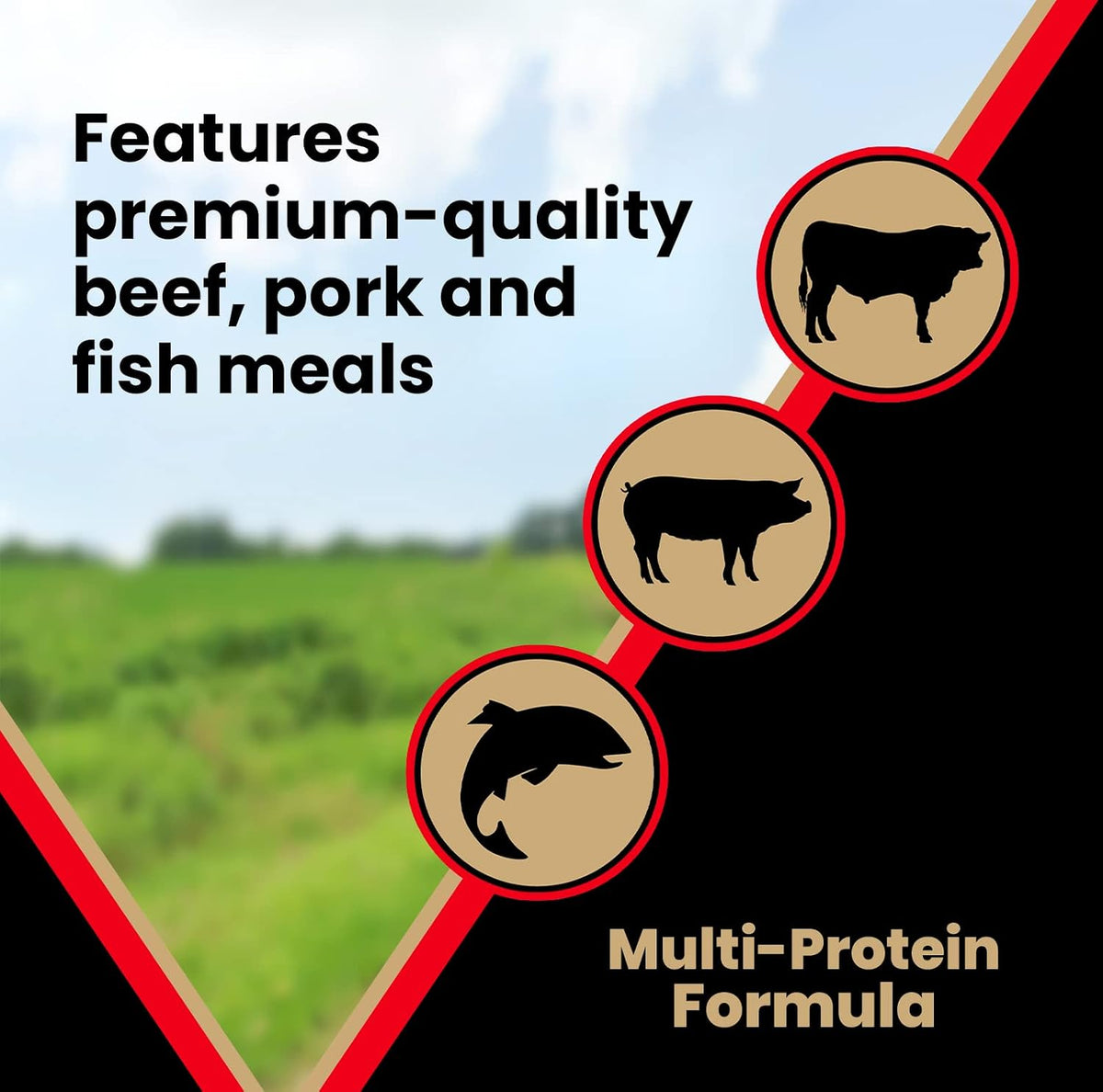 Grain Free Dry Dog Food - High Protein Active Dog Kibble, 5 lb