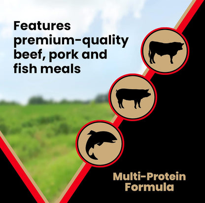 Grain Free Dry Dog Food - High Protein Active Dog Kibble, 5 lb