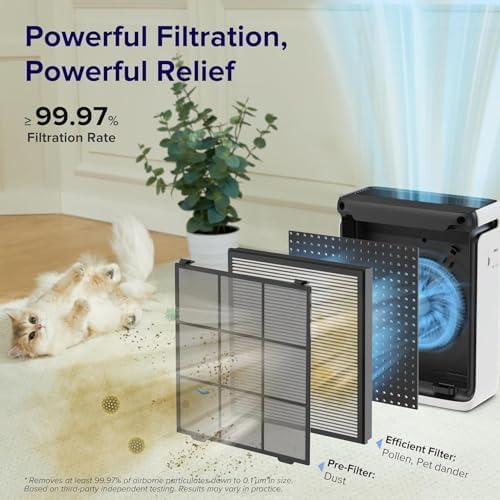 Vital 100S-P Air Purifier Pet Allergy Replacement Filter, Genuine Filter, Supports HEPA Sleep Mode, Activated Carbon, Removes Pet Dander, Smoke, Allergens, Vital 100S-RF-PA, Yellow