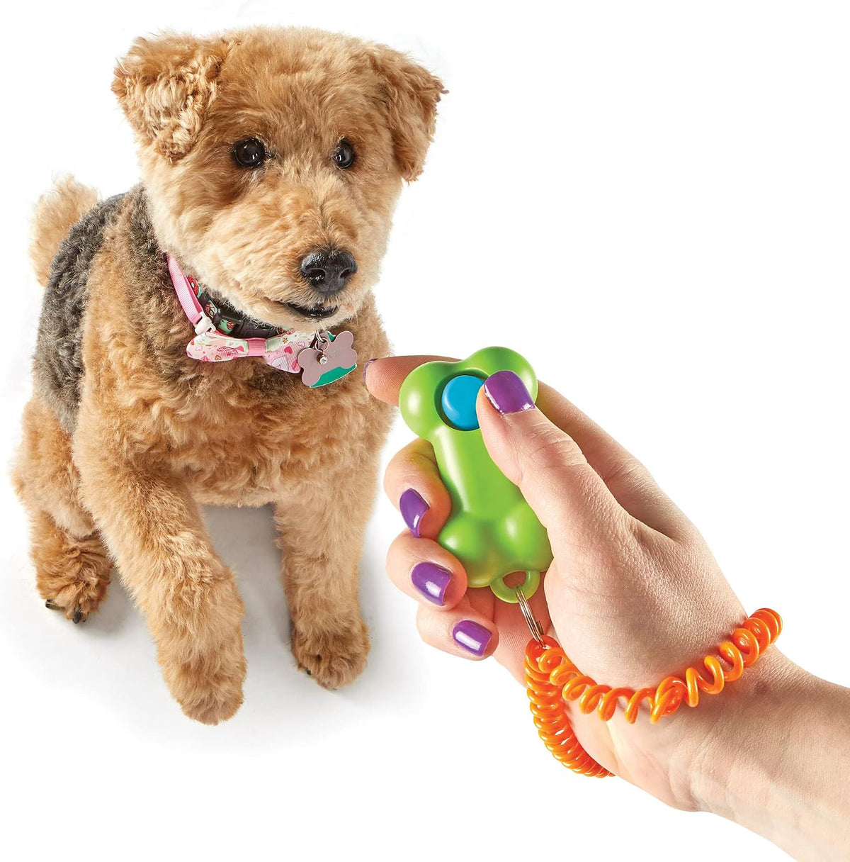 Learning Resources Gamepad Training Clicker