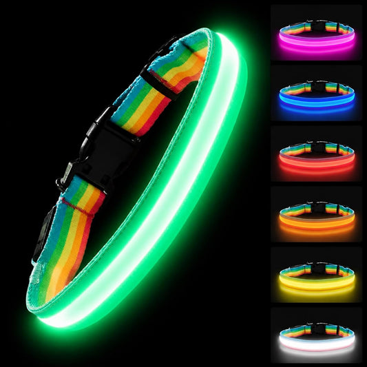 Premium LED Dog Collar for Night Walking, USB Rechargeable(Large)