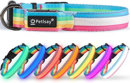 Premium LED Dog Collar for Night Walking, USB Rechargeable(Large)