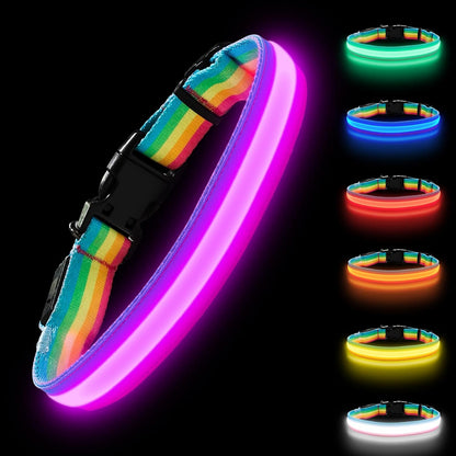 Premium LED Dog Collar for Night Walking, USB Rechargeable(Large)