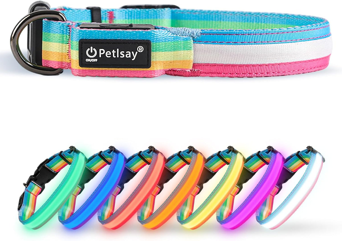Premium LED Dog Collar for Night Walking, USB Rechargeable(Large)