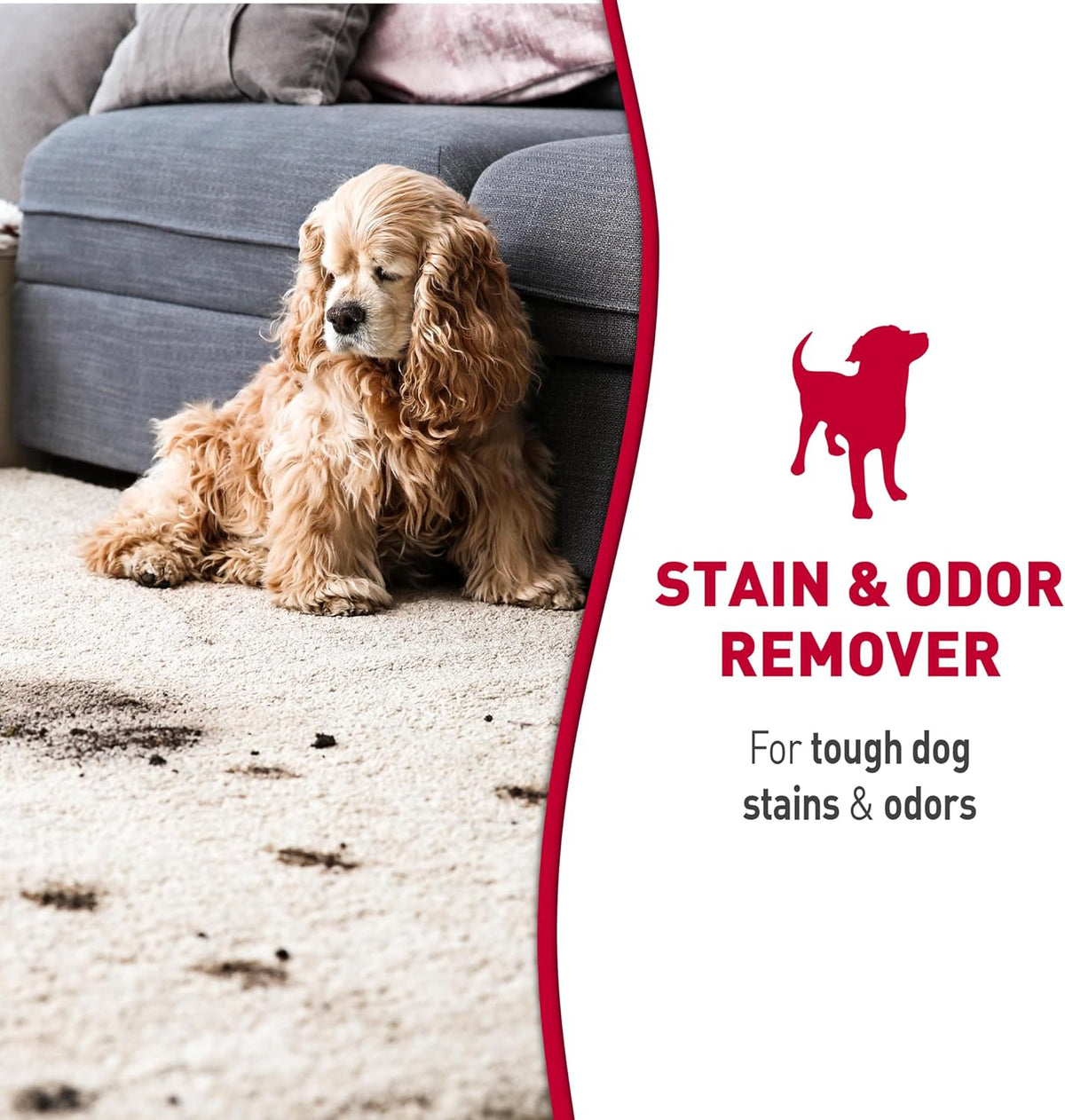Dog Stain & Odor Remover Foam, Enzymatic Cleaner, 32 oz
