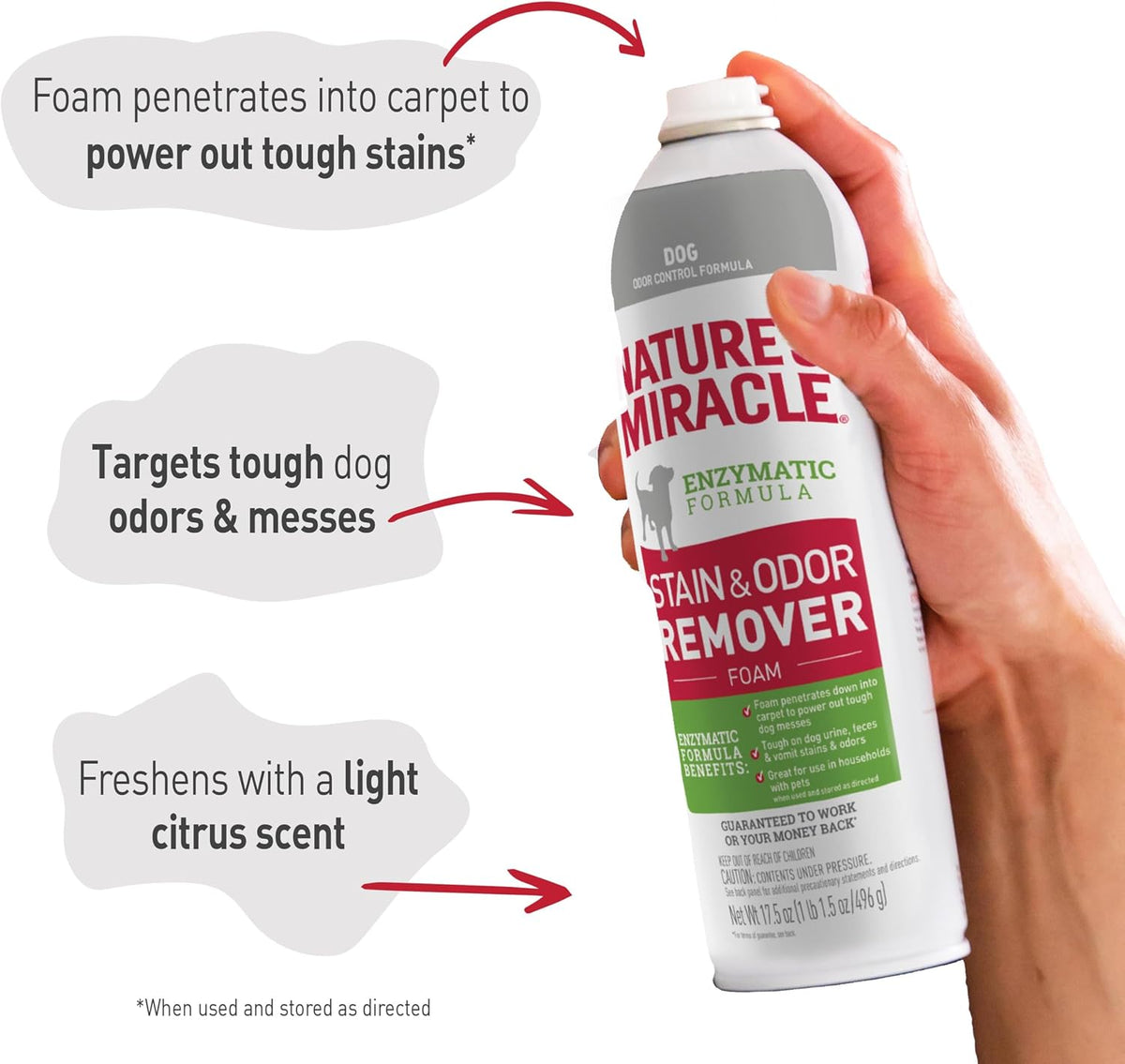 Dog Stain & Odor Remover Foam, Enzymatic Cleaner, 32 oz