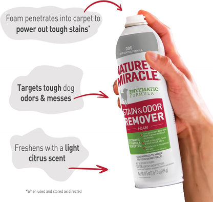 Dog Stain & Odor Remover Foam, Enzymatic Cleaner, 32 oz