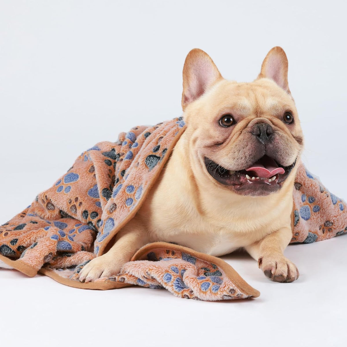 Dog Blanket 3 Pack, Soft Cozy Fleece Throw for Puppy Cat,23"x16" | Fuzzy Flannel Small Pet Blanket Washable, Cute Paw Print for Crate Car Bed. Puppy Essential,Cat Stuff Gifts,Small