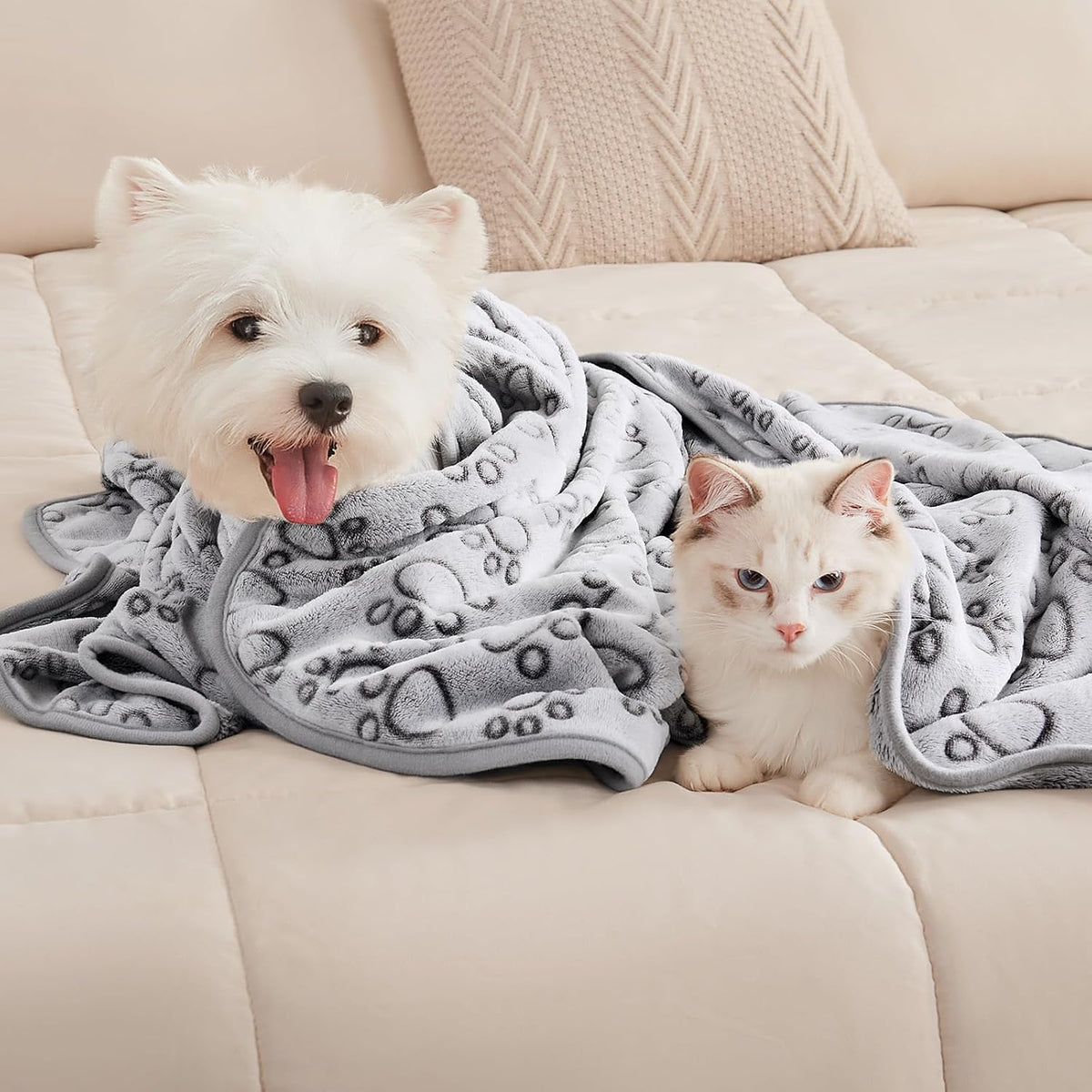 Dog Blanket 3 Pack, Soft Cozy Fleece Throw for Puppy Cat,23"x16" | Fuzzy Flannel Small Pet Blanket Washable, Cute Paw Print for Crate Car Bed. Puppy Essential,Cat Stuff Gifts,Small