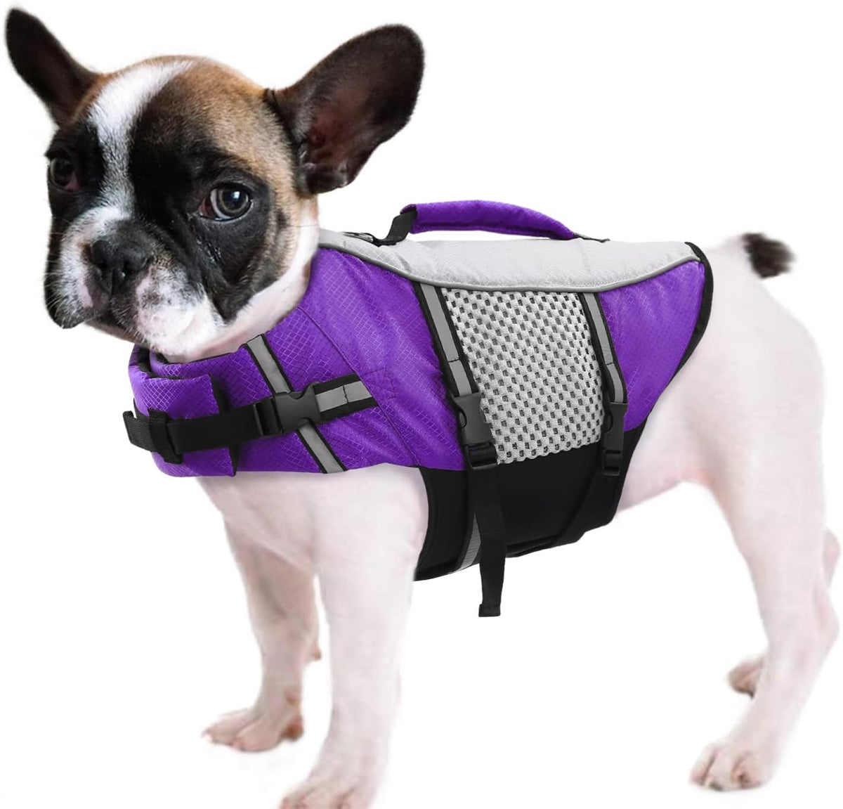 Lightweight Dog Life Jacket Puppy Swimming Vest with Lift Handle