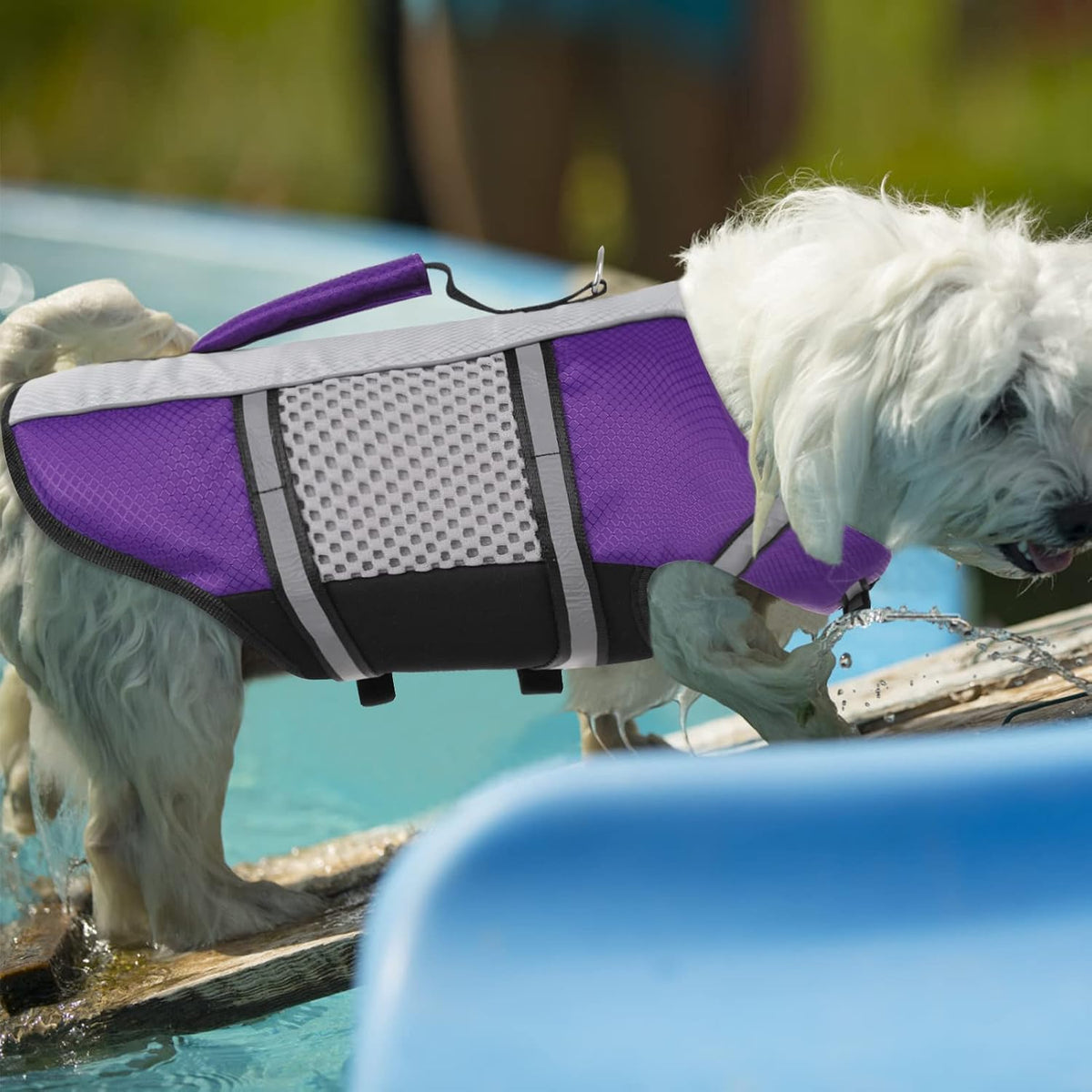 Lightweight Dog Life Jacket Puppy Swimming Vest with Lift Handle