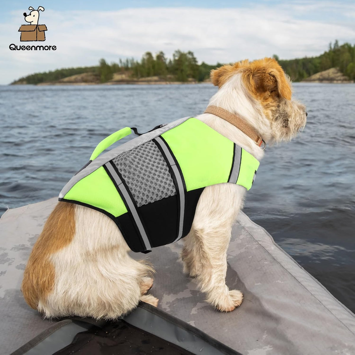 Lightweight Dog Life Jacket Puppy Swimming Vest with Lift Handle