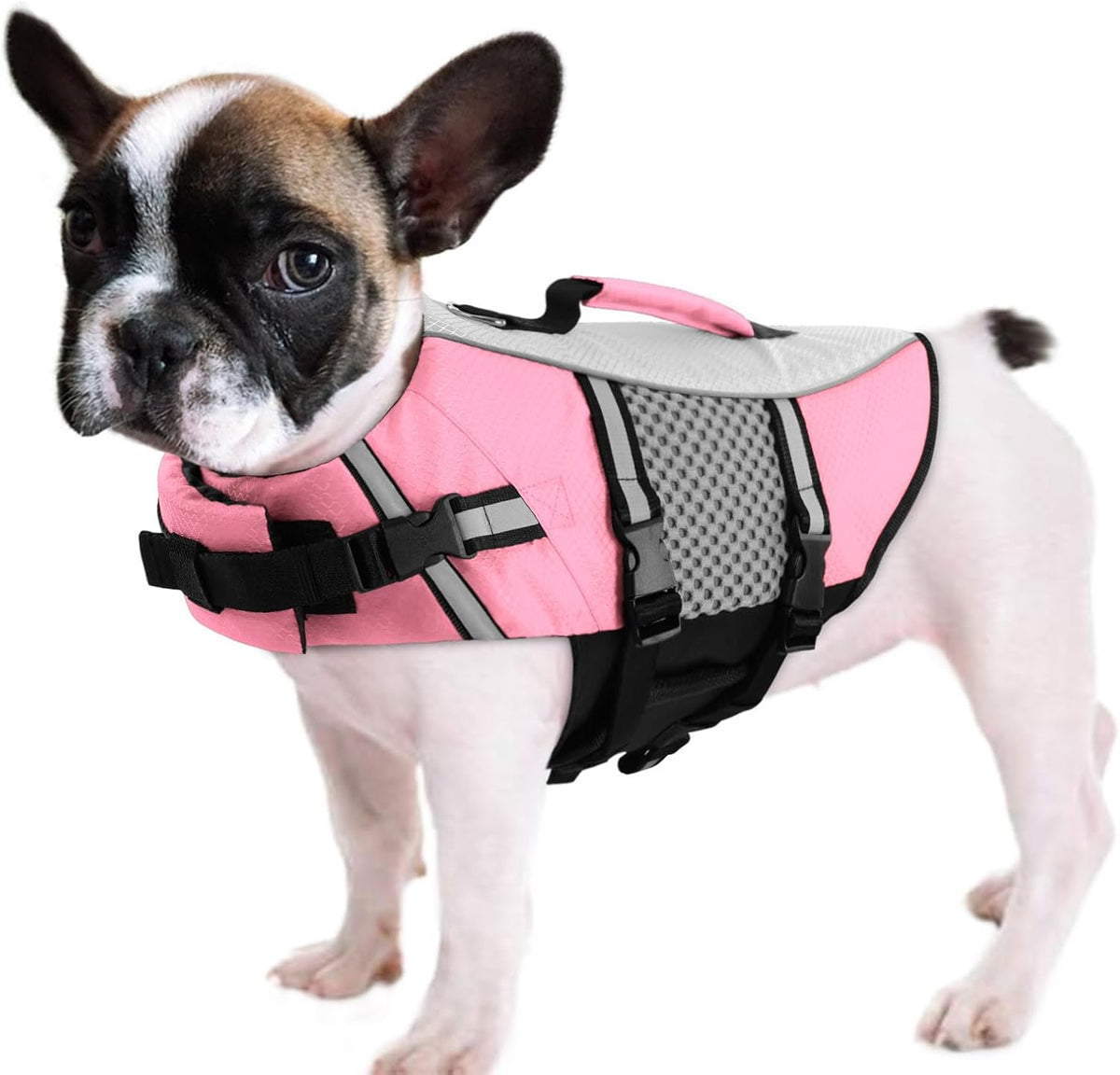Lightweight Dog Life Jacket Puppy Swimming Vest with Lift Handle