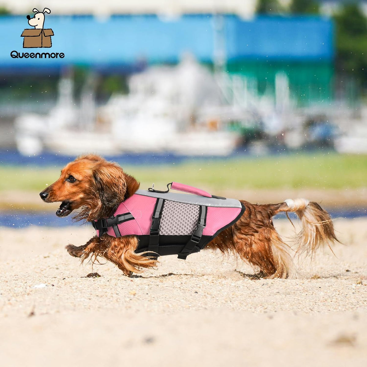 Lightweight Dog Life Jacket Puppy Swimming Vest with Lift Handle