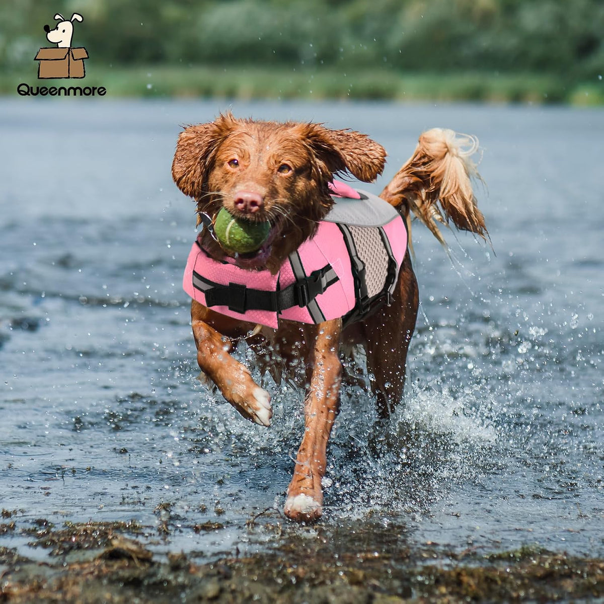 Lightweight Dog Life Jacket Puppy Swimming Vest with Lift Handle