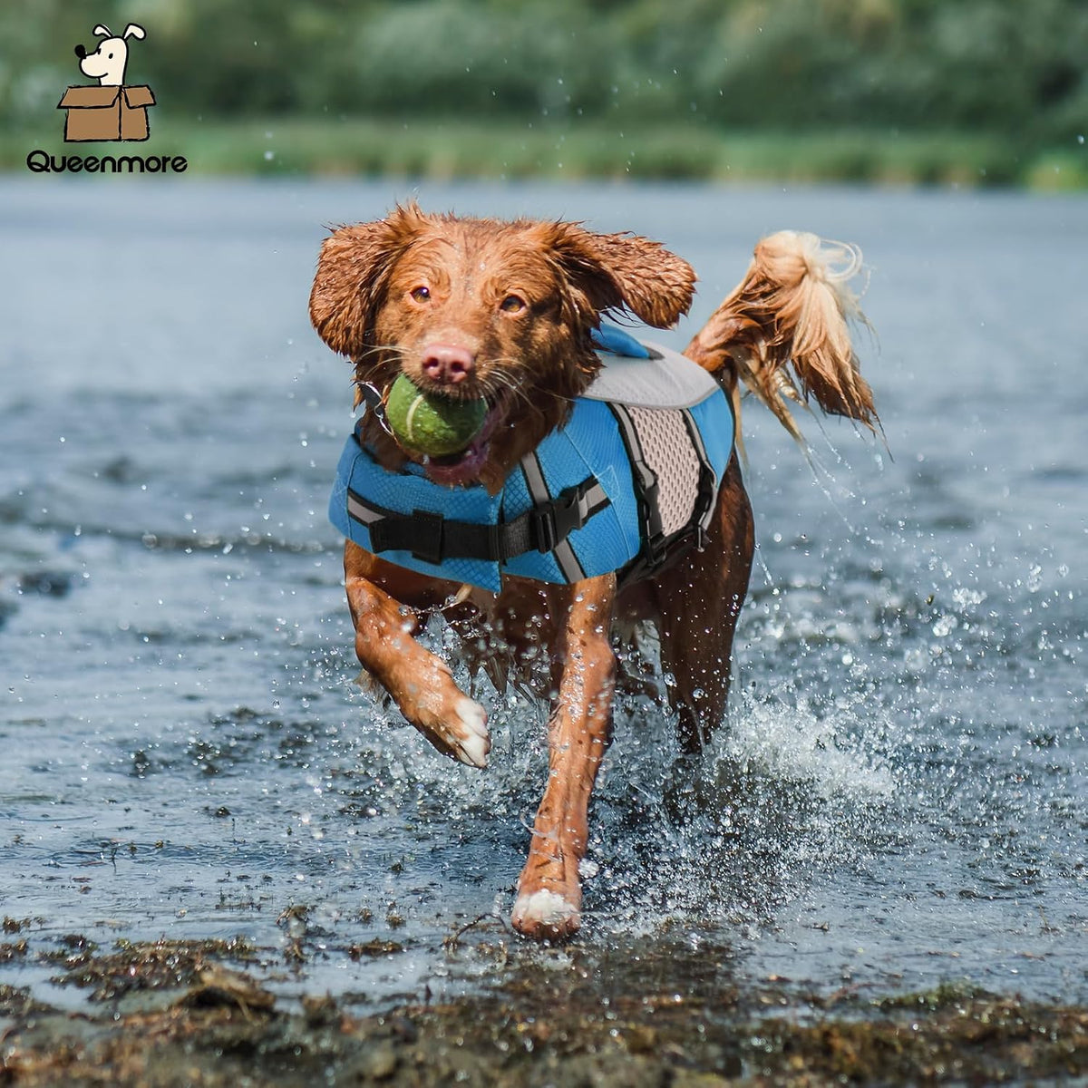 Lightweight Dog Life Jacket Puppy Swimming Vest with Lift Handle