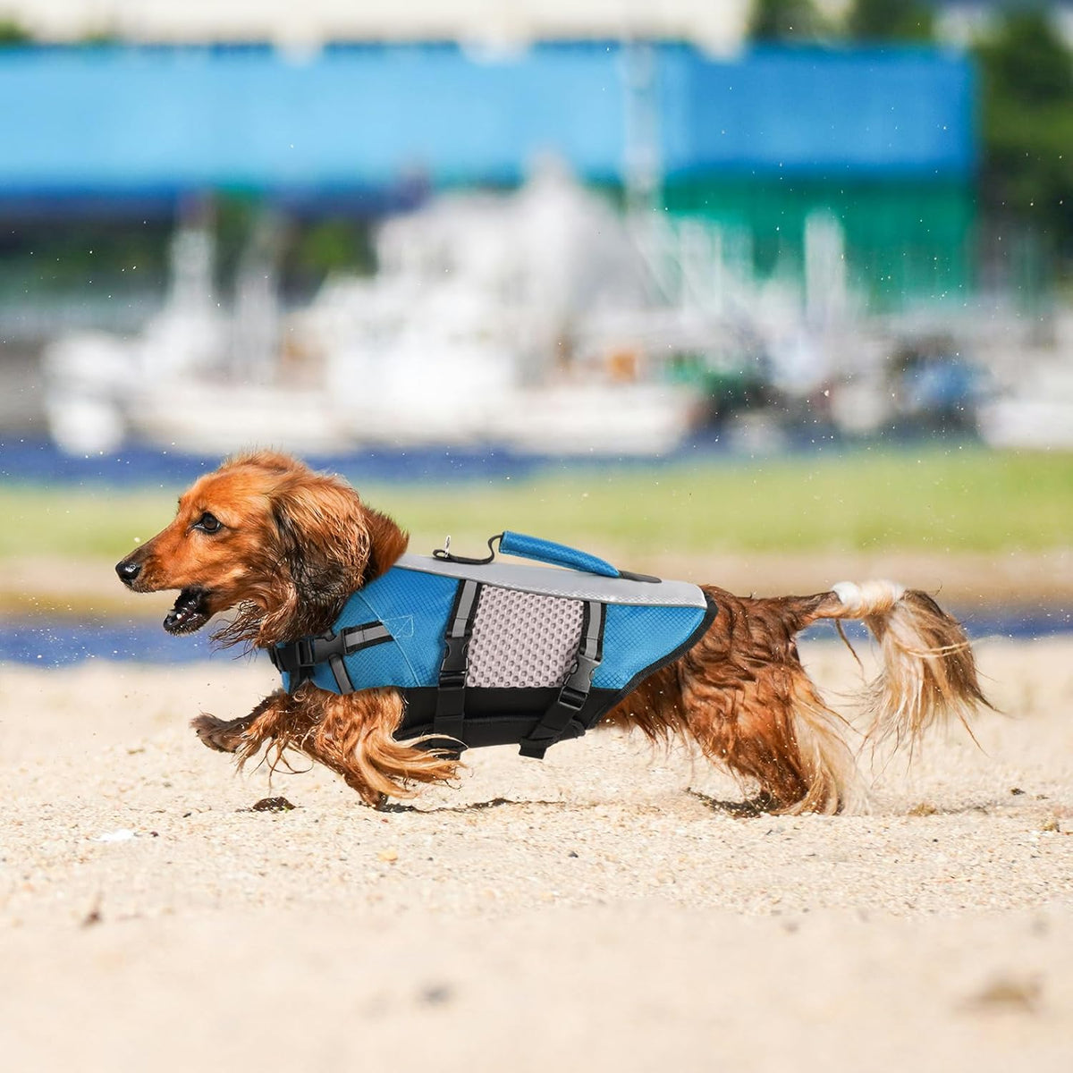 Lightweight Dog Life Jacket Puppy Swimming Vest with Lift Handle
