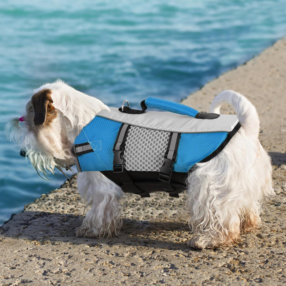 Lightweight Dog Life Jacket Puppy Swimming Vest with Lift Handle