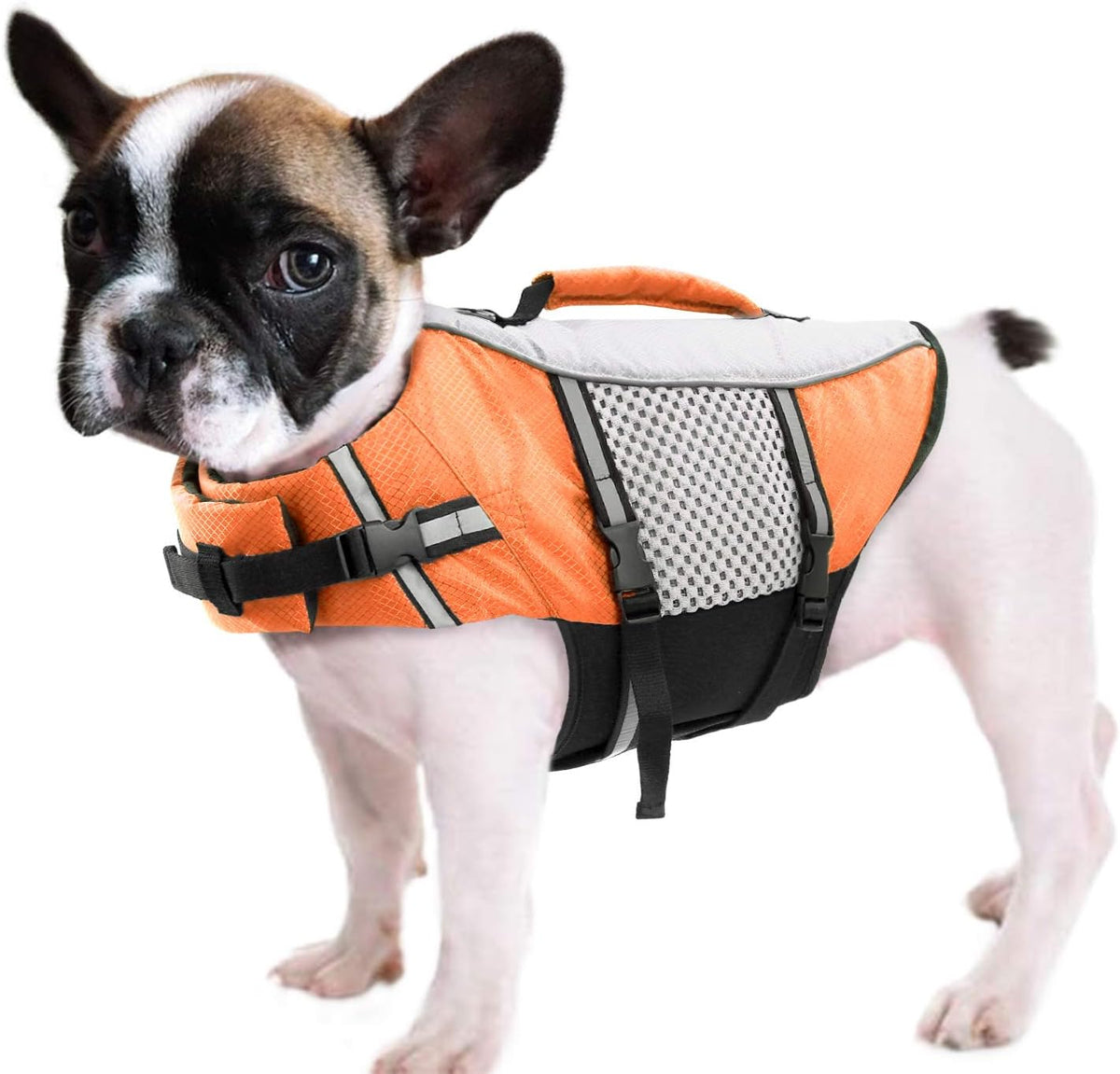 Lightweight Dog Life Jacket Puppy Swimming Vest with Lift Handle