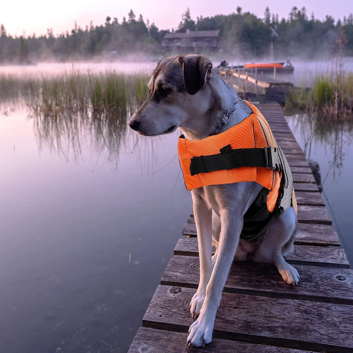 Lightweight Dog Life Jacket Puppy Swimming Vest with Lift Handle