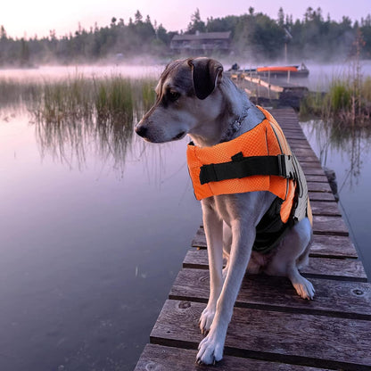 Lightweight Dog Life Jacket Puppy Swimming Vest with Lift Handle