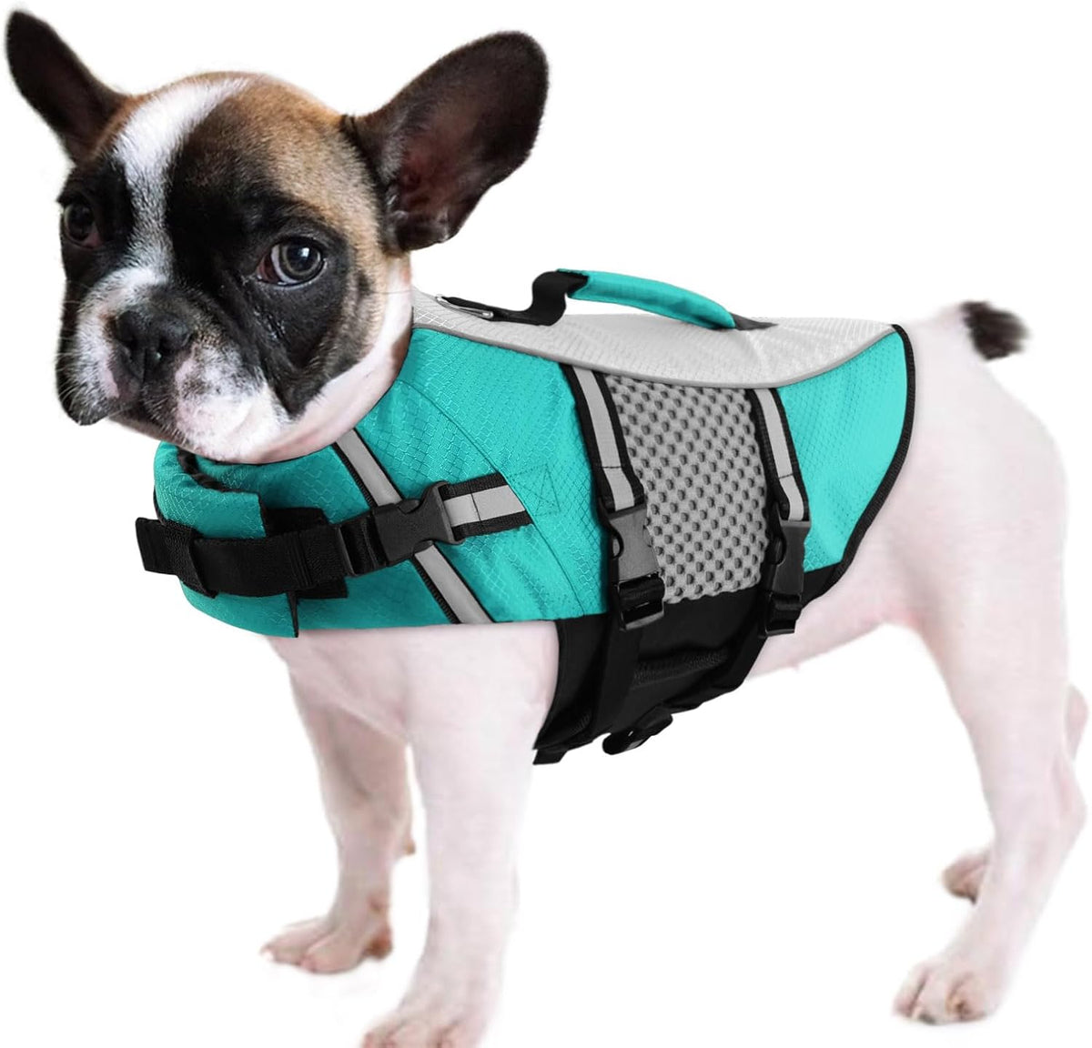 Lightweight Dog Life Jacket Puppy Swimming Vest with Lift Handle