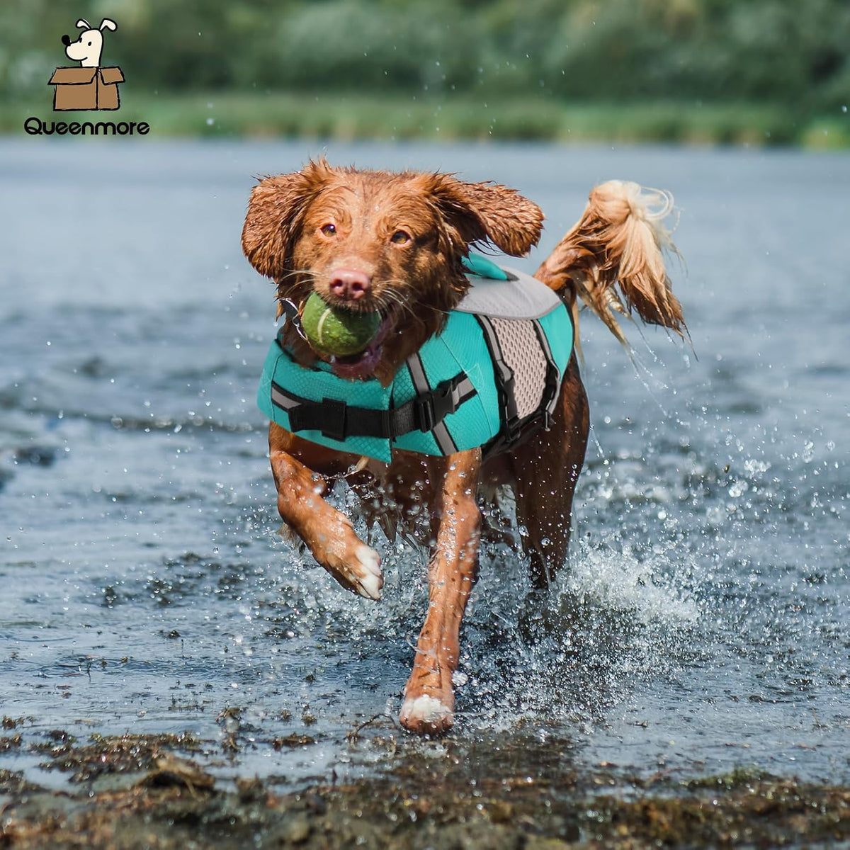 Lightweight Dog Life Jacket Puppy Swimming Vest with Lift Handle