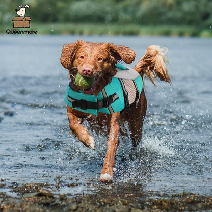 Lightweight Dog Life Jacket Puppy Swimming Vest with Lift Handle