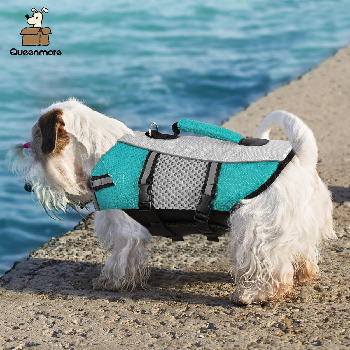 Lightweight Dog Life Jacket Puppy Swimming Vest with Lift Handle