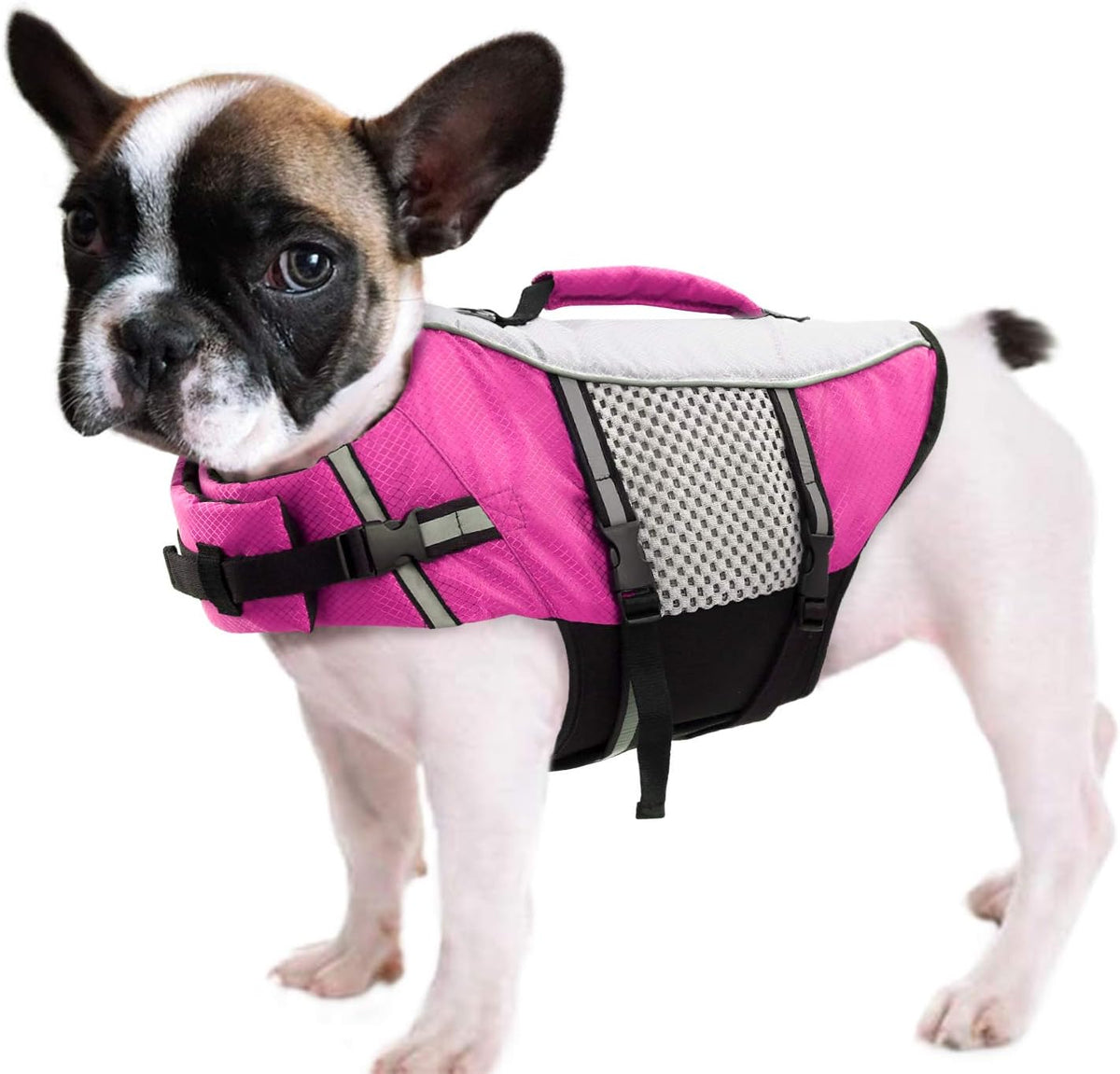 Lightweight Dog Life Jacket Puppy Swimming Vest with Lift Handle