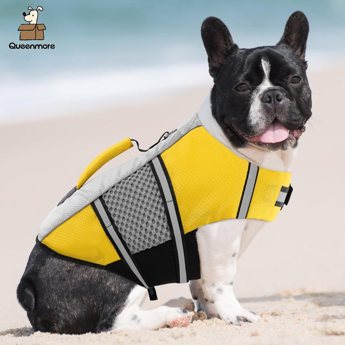 Lightweight Dog Life Jacket Puppy Swimming Vest with Lift Handle