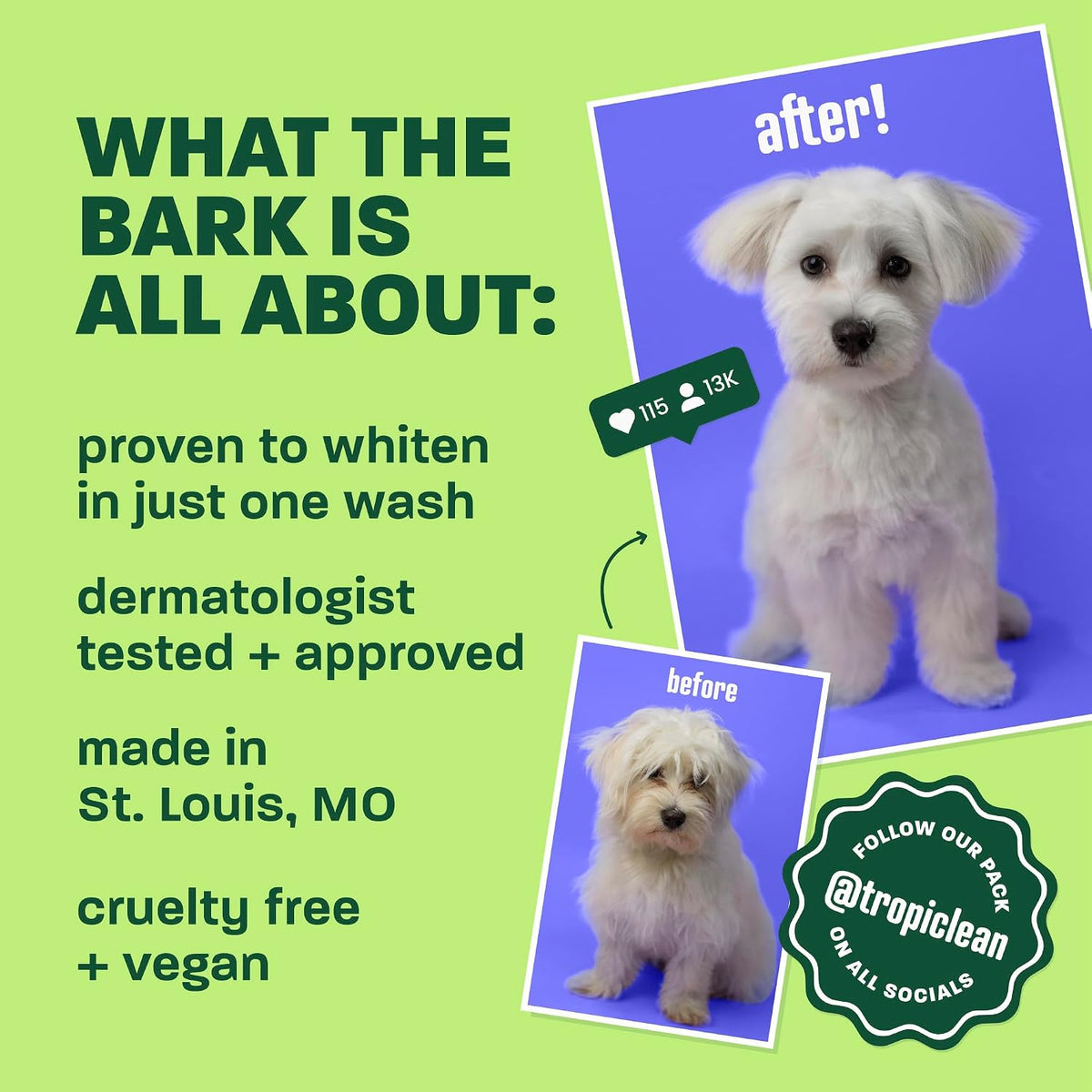 Gentle Puppy Shampoo, Sensitive Skin, Coconut Scent, 20oz | For Allergies & Sensitive Skin | Gentle Coconut Scent | Safe for Cats & Kittens | Made in USA